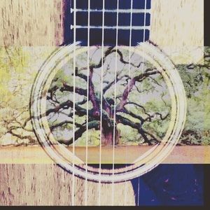 Meet your Posher, Denny